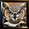 [Jill Osiecki Hoot image]